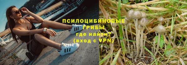 бошки Абинск