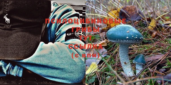 бошки Абинск