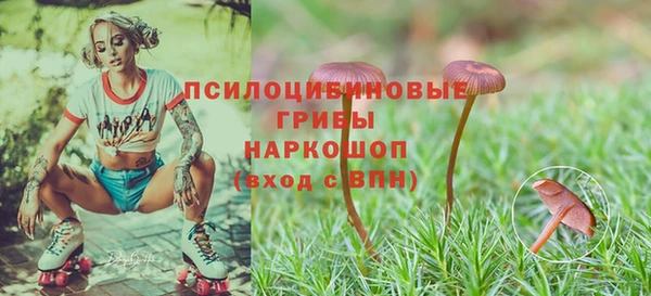 бошки Абинск