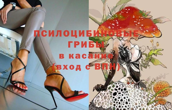 бошки Абинск