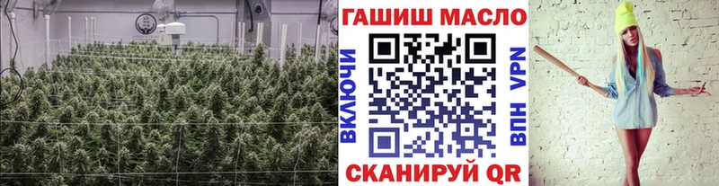 где найти   Котельнич  Дистиллят ТГК Wax 