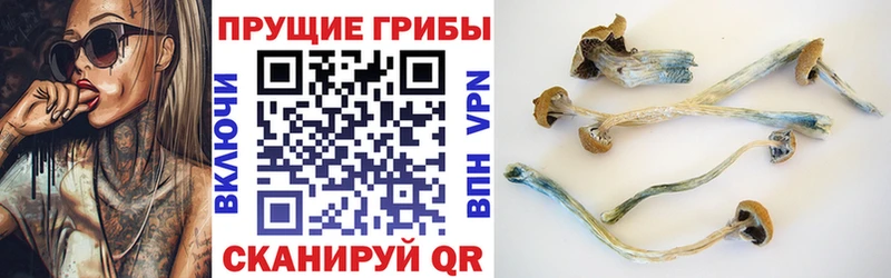 Галлюциногенные грибы мухоморы  дарк нет как зайти  Котельнич  дарнет шоп 