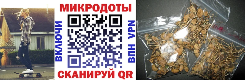 Псилоцибиновые грибы прущие грибы Котельнич